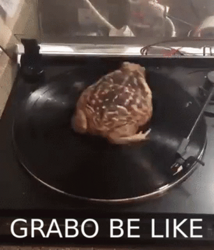 A Record Player With A Piece Of Meat On It And The Words Grabo Be Like Above It GIF