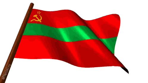 A Red And Green Flag With A Red Hammer And Sickle Sticker