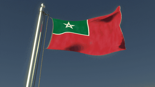 A Red And Green Flag With A White Star GIF