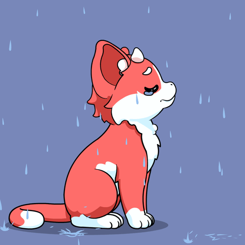 A Red And White Cat Sitting In The Rain With A Blue Background GIF