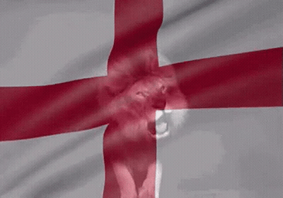 A Red And White Cross With A Lion 'S Head On It GIF