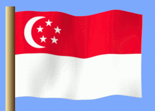 A Red And White Flag With A Crescent Moon And Five Stars GIF