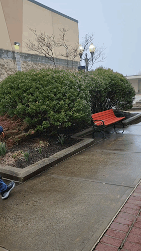 A Red Bench Sits In The Middle Of A Concrete Walkway GIF