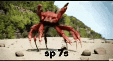 A Red Crab Is Standing On A Sandy Beach With The Words Sp 7S Written Below It GIF