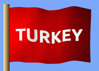 A Red Flag That Says Turkey Is Waving In The Wind GIF