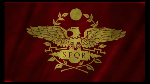 A Red Flag With A Gold Eagle And The Word Spor GIF