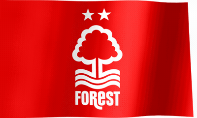 A Red Flag With A Tree And The Word Forest GIF