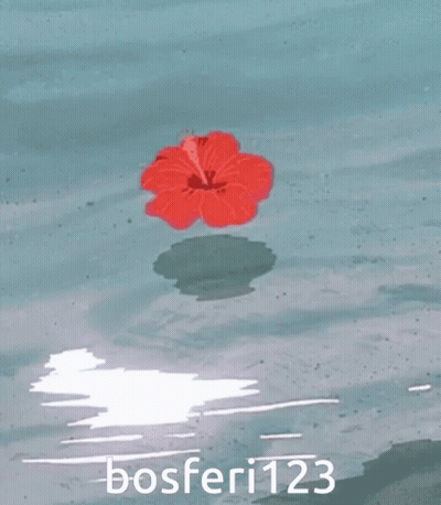 A Red Flower Is Floating In The Water With Bosferi123 GIF