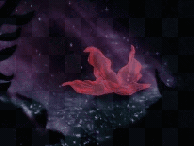 A Red Flower Is Floating In The Water With Bubbles Around It GIF