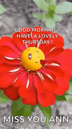 A Red Flower With A Smiley Face On It . GIF
