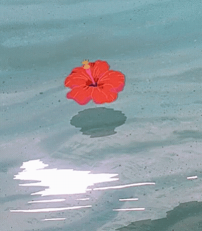 A Red Flower With A Yellow Center Is Floating In The Water GIF