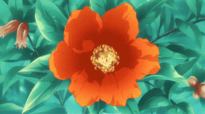 A Red Flower With A Yellow Center Is Surrounded By Greenery GIF