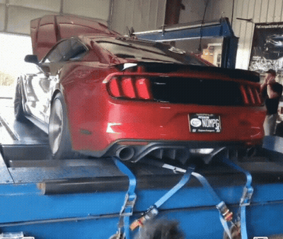 A Red Ford Mustang With A License Plate That Says Nompg GIF