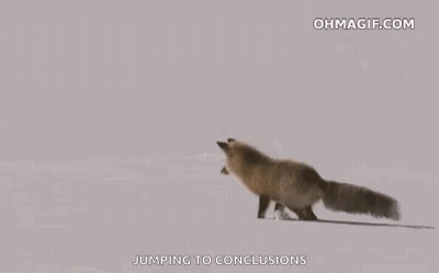 A Red Fox Is Jumping In The Air In The Snow . GIF