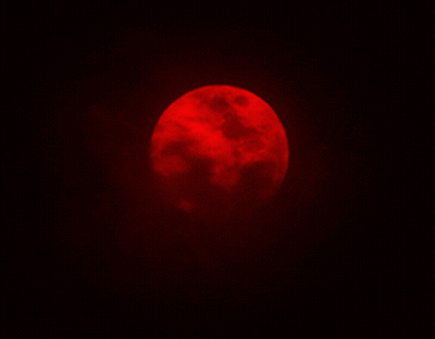 A Red Full Moon In A Black Sky GIF