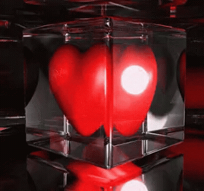 A Red Heart Is In A Clear Cube GIF