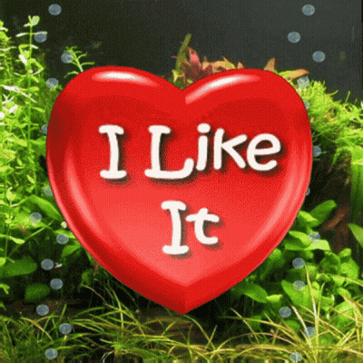 A Red Heart That Says I Like It In White Letters GIF
