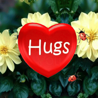 A Red Heart With The Word Hugs On It Is Surrounded By Yellow Flowers GIF