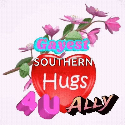 A Red Heart With The Words Gayest Southern Hugs 40 Ally On It GIF