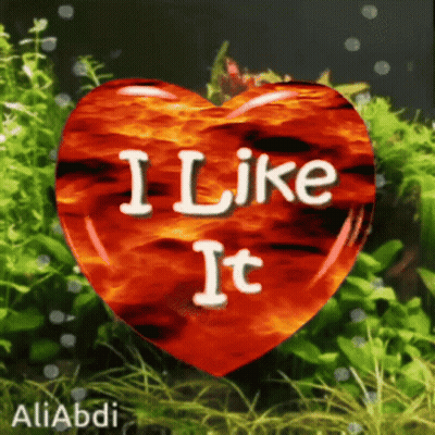 A Red Heart With The Words " I Like It " Written On It GIF