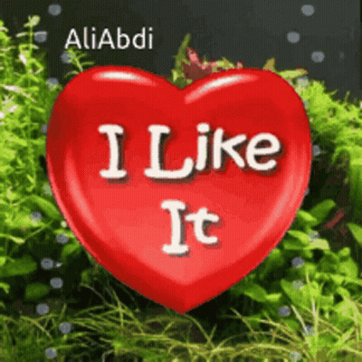 A Red Heart With The Words " I Like It " Written On It GIF