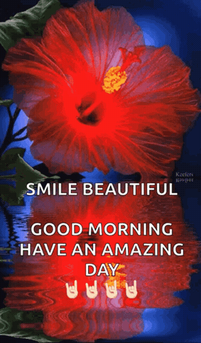 A Red Hibiscus Flower With The Words Smile Beautiful Good Morning Have An Amazing Day GIF