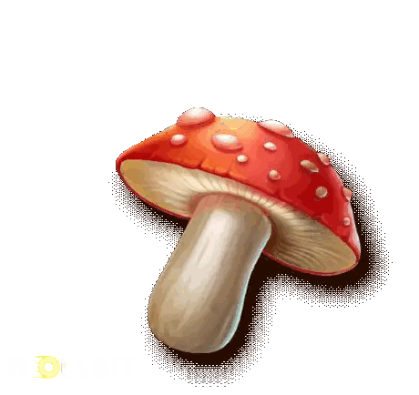 A Red Mushroom With Water Drops On It Is On A White Background Sticker