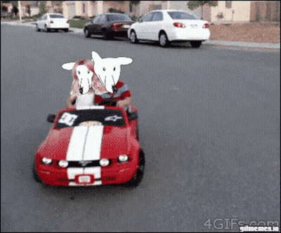 A Red Mustang With A White Stripe On The Side GIF