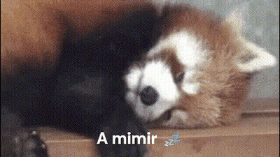 A Red Panda Is Sleeping On A Wooden Table With The Words A Mimir Zzz Written Below It GIF