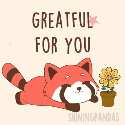 A Red Panda Laying Down Next To A Potted Flower With The Words " Greatful For You " GIF