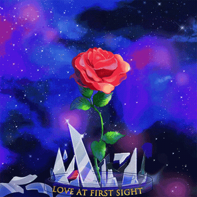 A Red Rose In A Glass Container With The Words Love At First Sight On The Bottom GIF