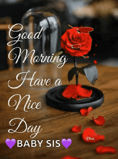 A Red Rose In A Glass Dome With The Words Good Morning Have A Nice Day Baby Sis On It GIF