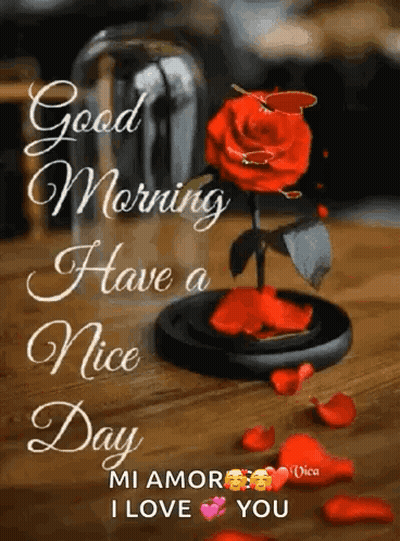 A Red Rose In A Glass Vase On A Wooden Table With Petals . GIF