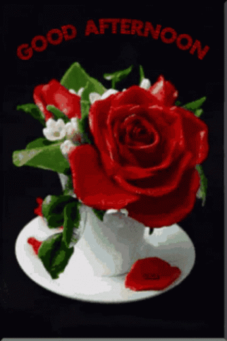 A Red Rose In A White Cup With The Words " Good Afternoon " Above It GIF