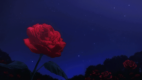 A Red Rose Is Against A Dark Blue Sky GIF