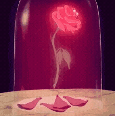 A Red Rose Is Glowing In A Glass Dome GIF
