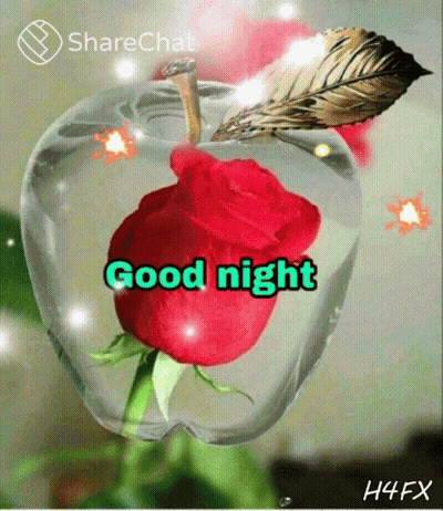 A Red Rose Is In An Apple With The Words Good Night Written On It GIF