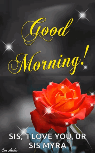 A Red Rose Is On A Black Background With The Words Good Morning Sis I Love You Ur Sis Myra GIF