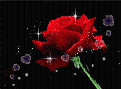 A Red Rose Is Surrounded By Hearts And Stars On A Black Background GIF