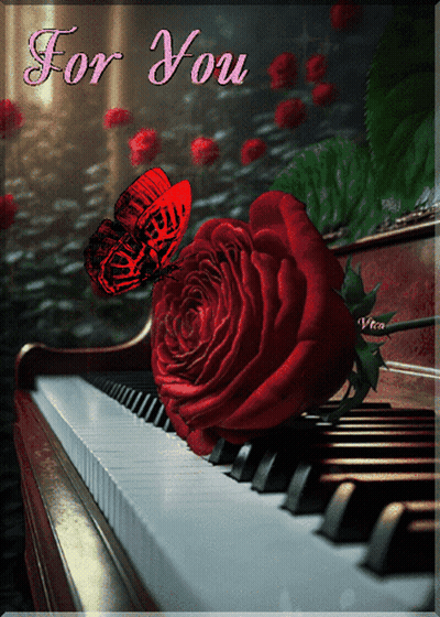 A Red Rose Sits On A Piano With The Words For You GIF