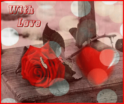 A Red Rose Sits On A Wooden Ledge With The Words " With Love " Written Above It GIF