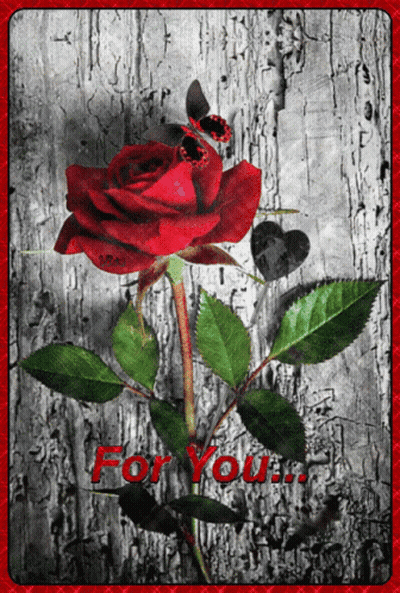 A Red Rose With A Butterfly And The Words For You GIF