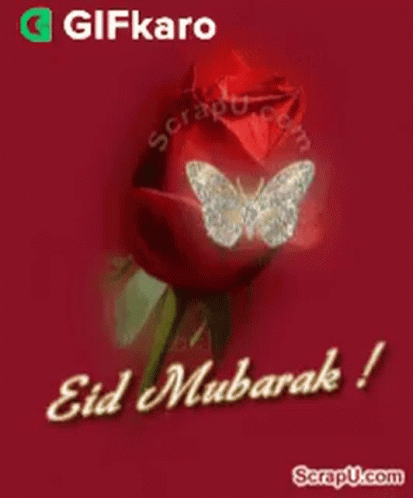 A Red Rose With A Butterfly On It And The Words Eid Mubarak On It GIF