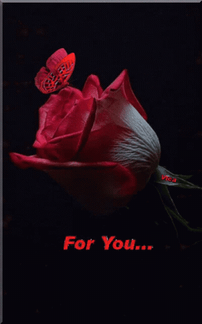 A Red Rose With A Butterfly On It And The Words " For You " Below It GIF