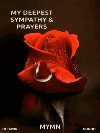 A Red Rose With A Drop Of Water On It And The Words My Deepest Sympathy And Prayers GIF