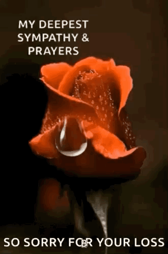 A Red Rose With A Drop Of Water On It And The Words `` My Deepest Sympathy And Prayers '' . GIF