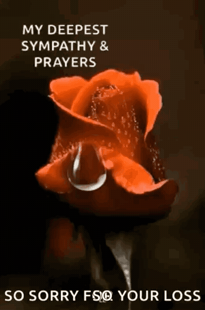 a red rose with a drop of water on it and the words my deepest sympathy and prayers so sorry fso your loss