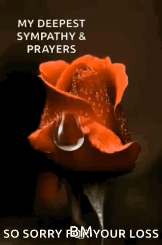 A Red Rose With A Drop Of Water On It And The Words `` My Deepest Sympathy & Prayers '' . GIF
