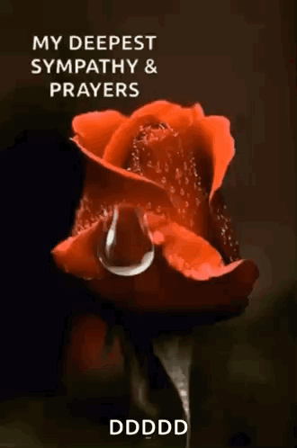 A Red Rose With A Drop Of Water On It And The Words `` My Deepest Sympathy & Prayers '' GIF