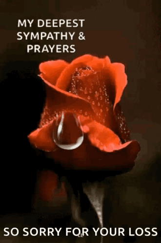 A Red Rose With A Drop Of Water On It And The Words My Deepest Sympathy & Prayers So Sorry For Your Loss GIF